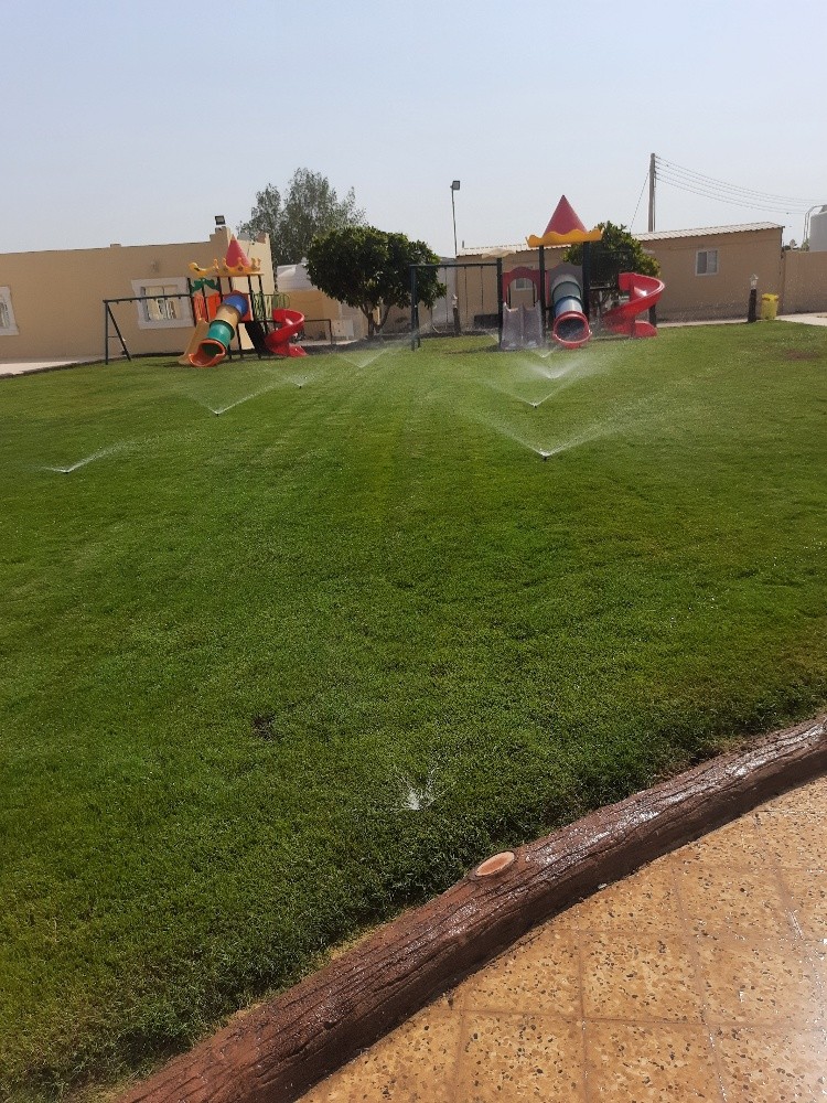 أعمال الزراعه - 5