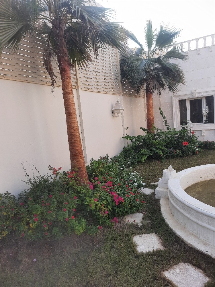 أعمال الزراعه - 13