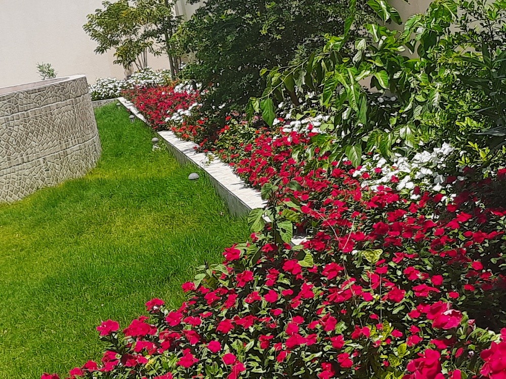 أعمال الزراعه - 8
