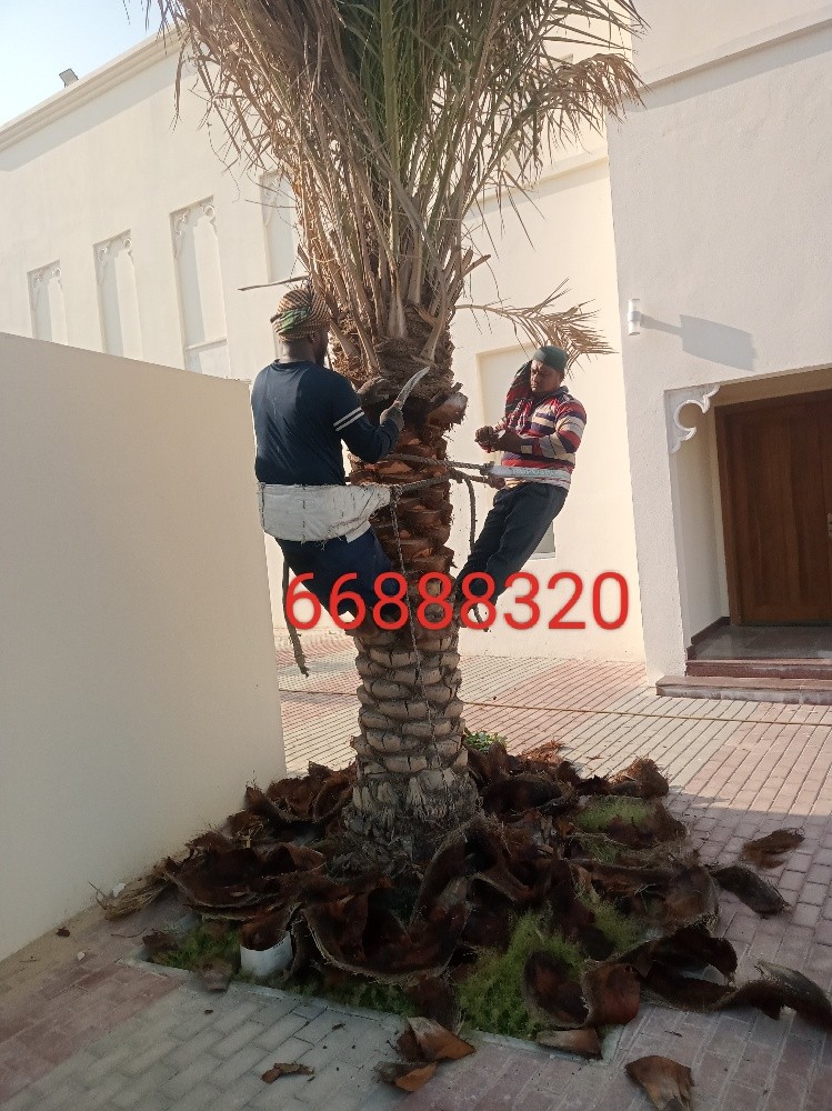 زراعه الحدائق - 3