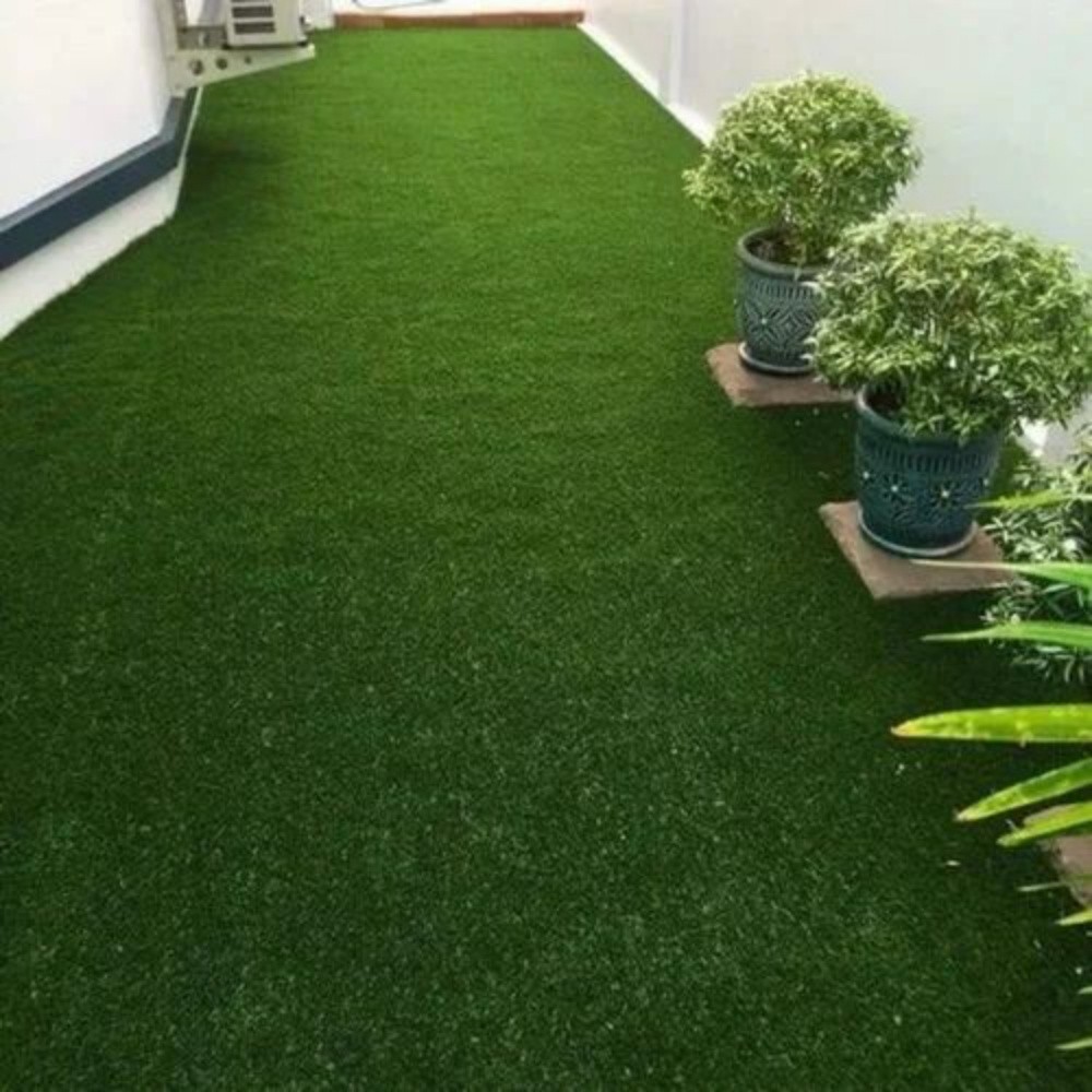 Gras - 12