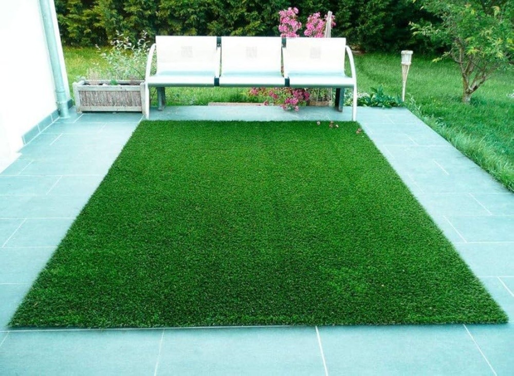 Gras - 9
