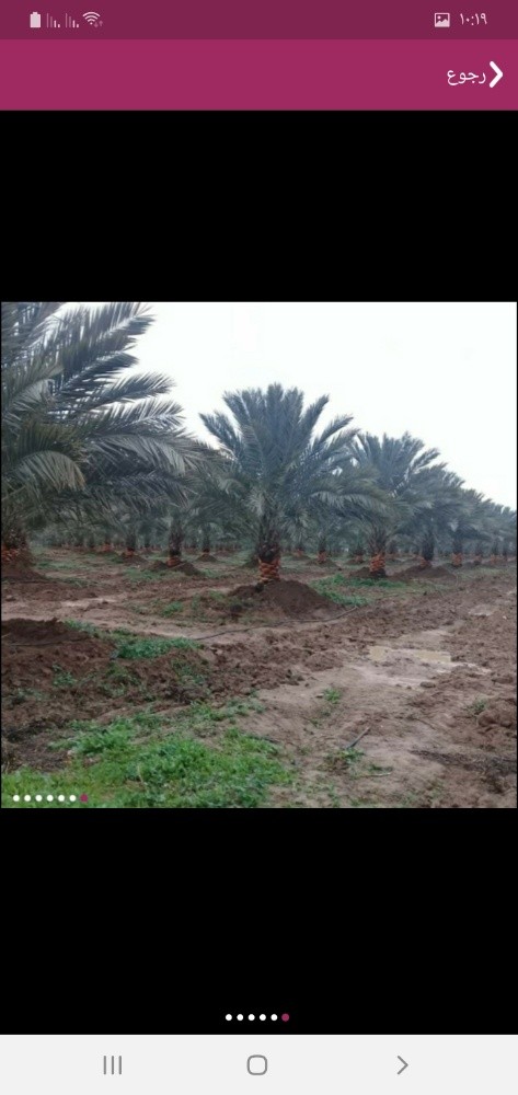 أعمال الحدايق وتركيب الانترلوك - 14