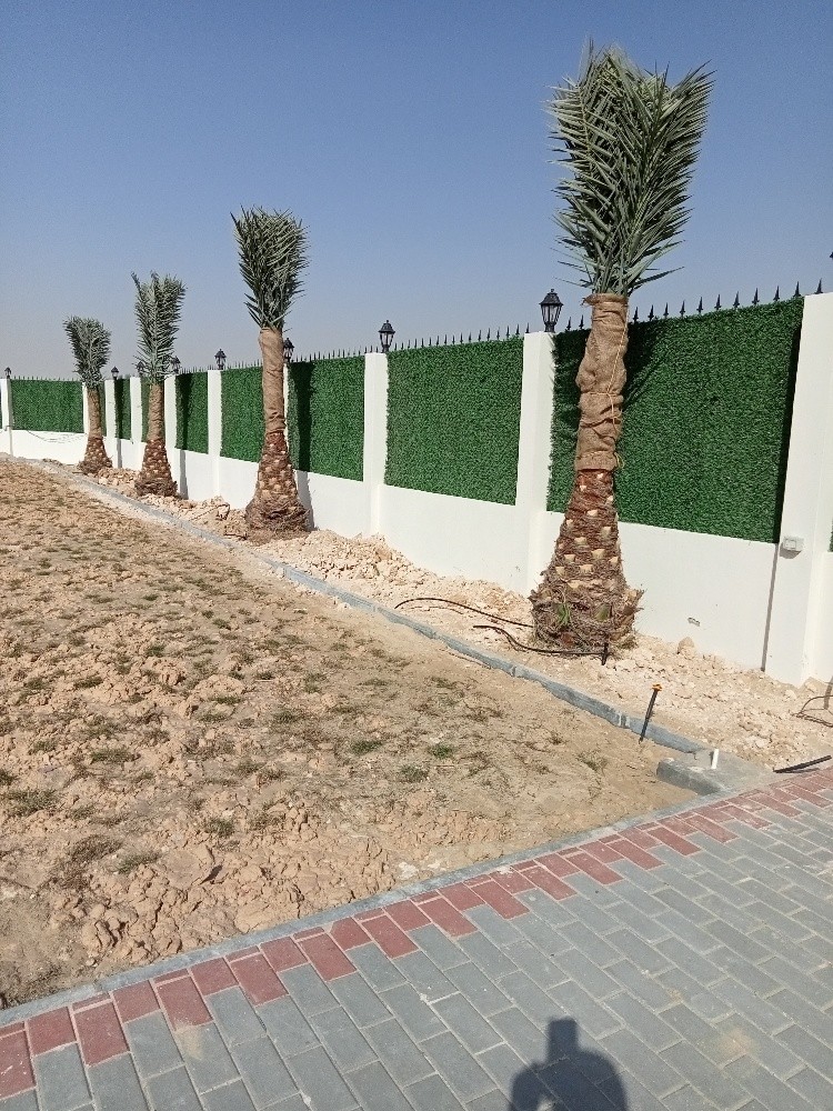 زراعه الحدائق وتركيب الانترلوك - 13