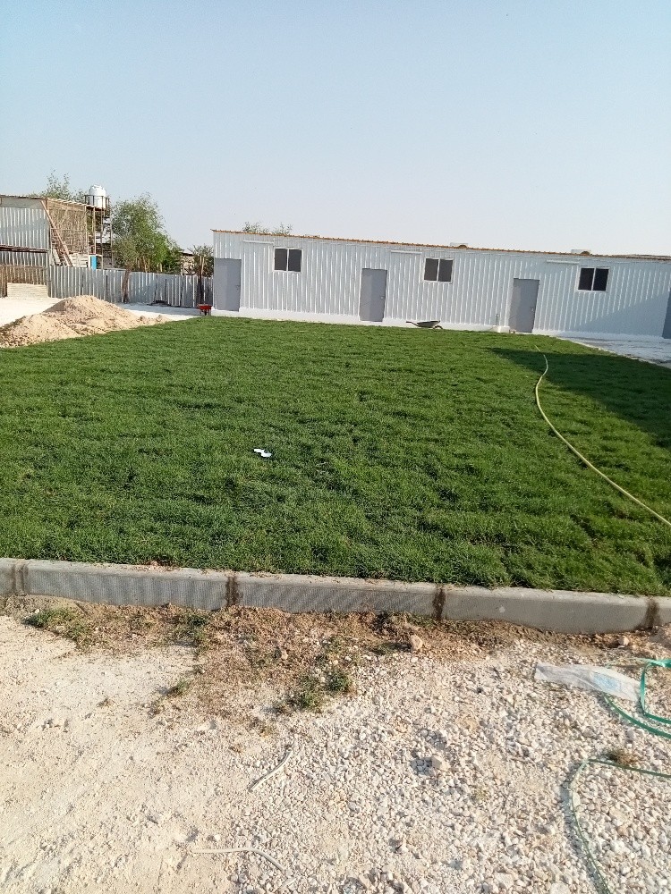 زراعه الحدائق وتركيب الانترلوك - 14