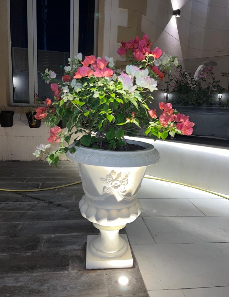 ورود طبيعية وزراعية - 4