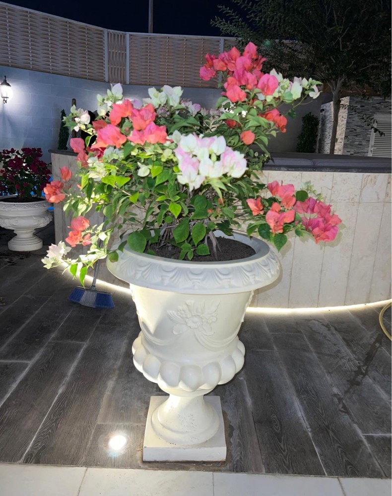 ورود طبيعية وزراعية - 1
