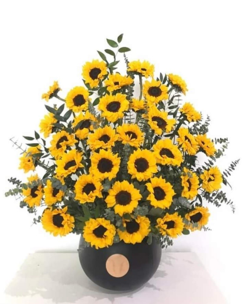 sunflower - 1
