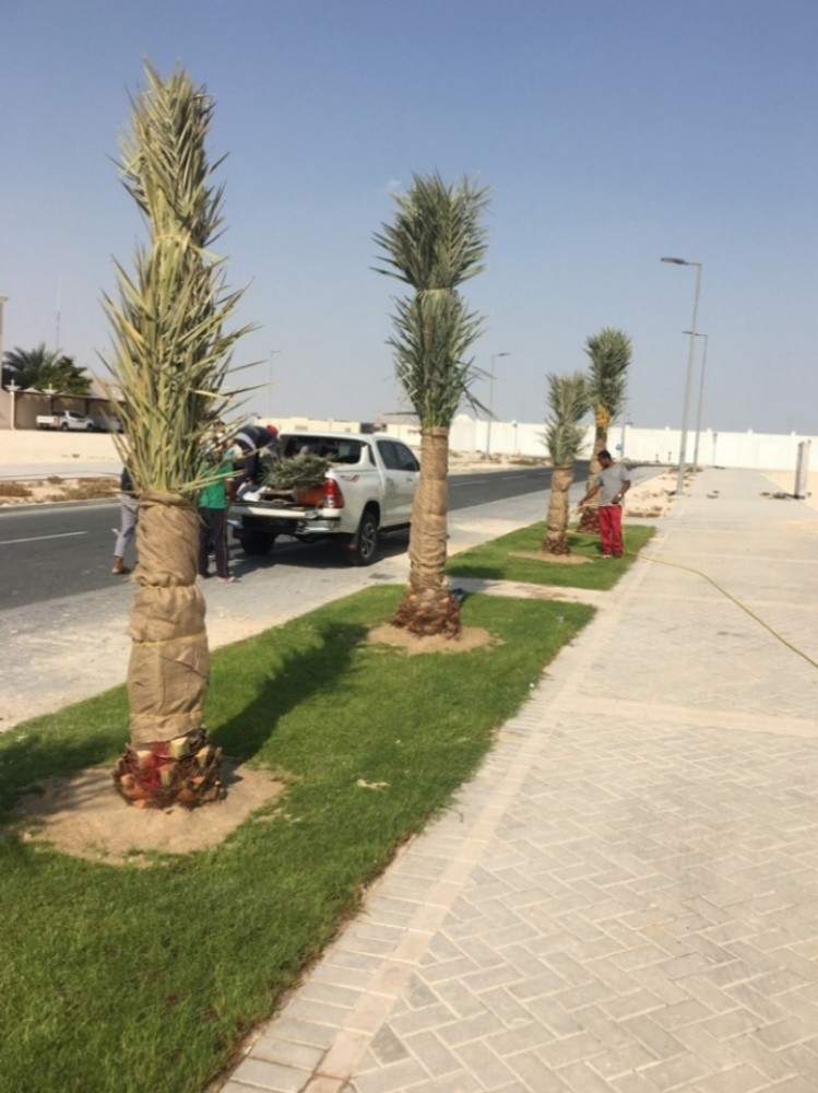 لتنسيق الحدائق - 5