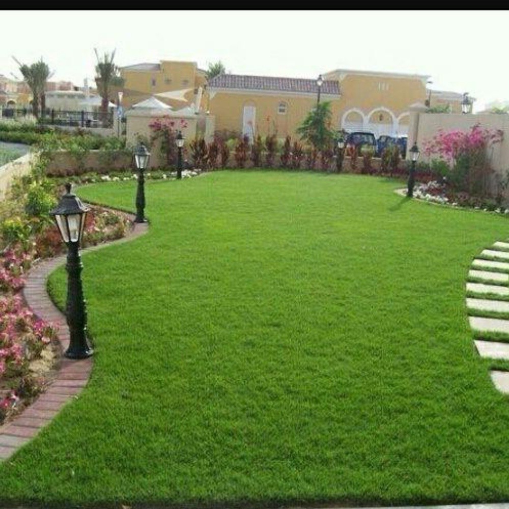 زراعه وديكور - 1