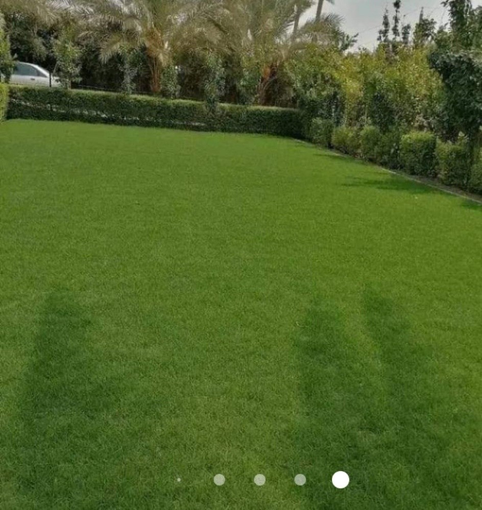 صيانه الحدائق - 4
