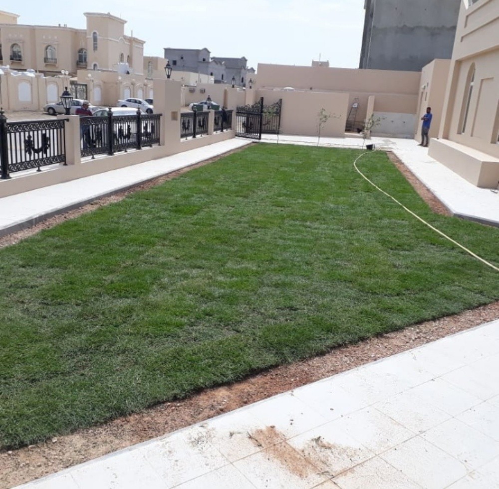 العنايه ب الحديقه - 8