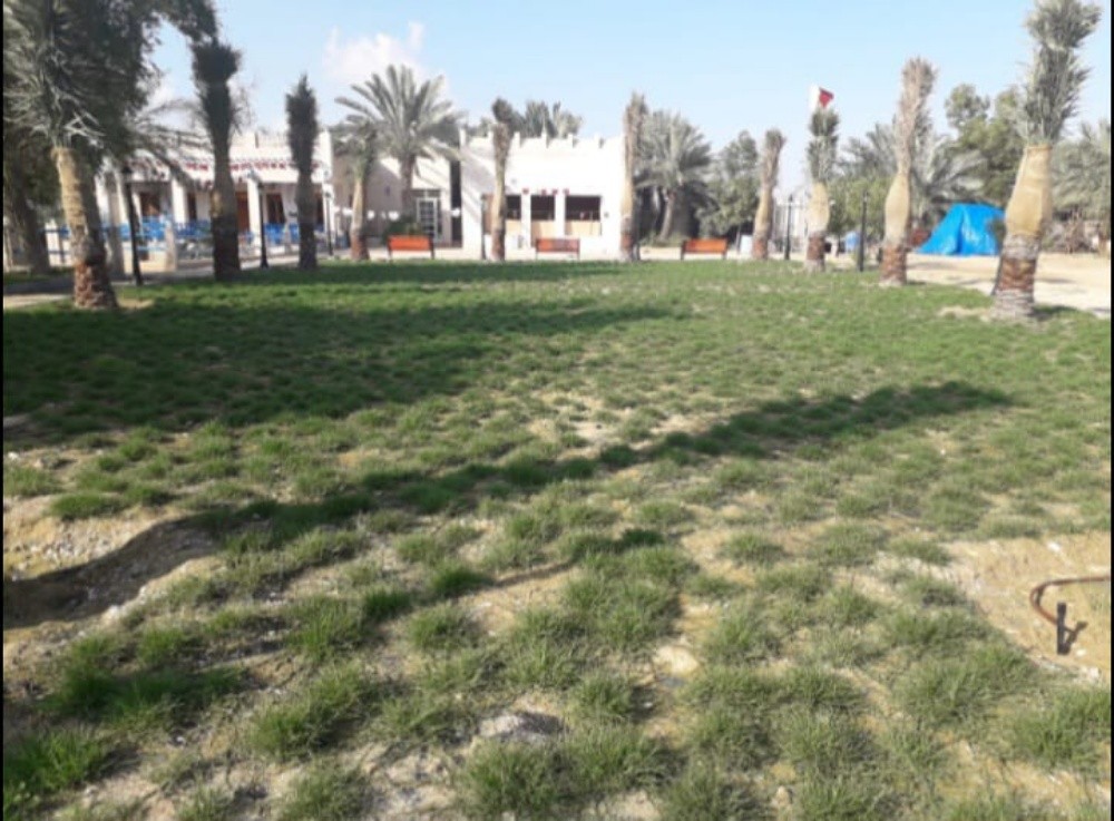 زراعة وديكور - 13