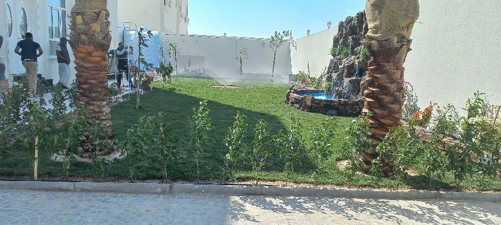 نقوم بزراعه العشب الاخضر - 1