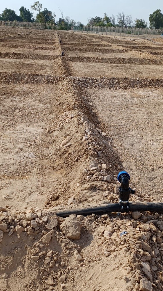 استصلاح مزارع الجت - 7