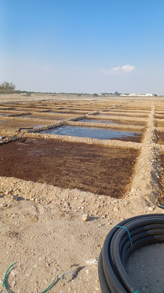 استصلاح مزارع الجت - 6