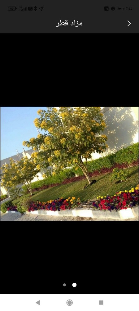 مصمم حدائق 55079950 - 8