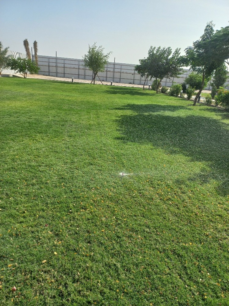صيانة جميع الحدائق - 2