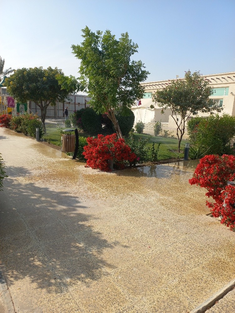 صيانة جميع الحدائق - 1