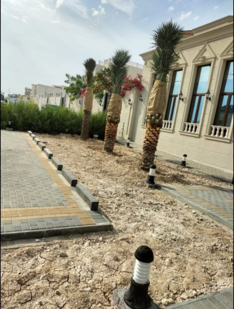 تكريب وتلقيح - 4