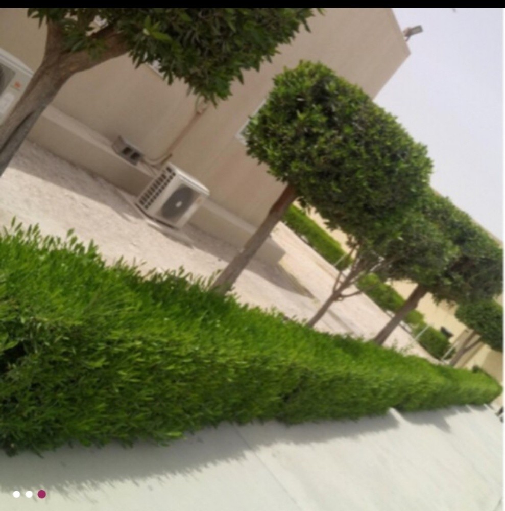 مزارع.    55079950 - 9