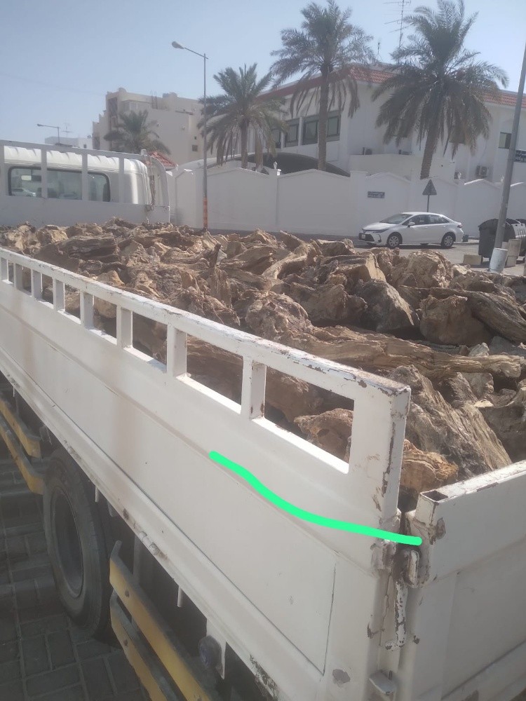 حطب زيتون اسباني - 1
