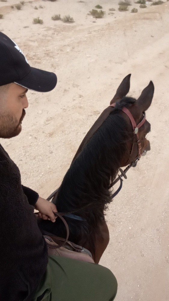 مروض خيول - 1