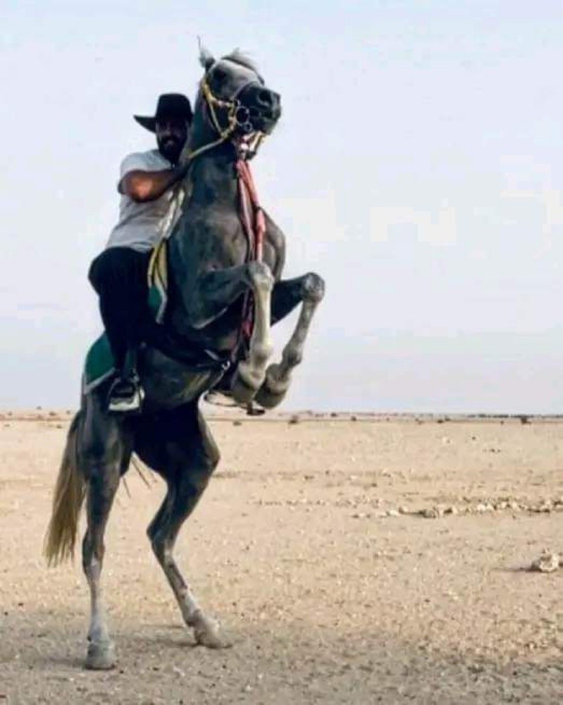 مروض خيول - 2