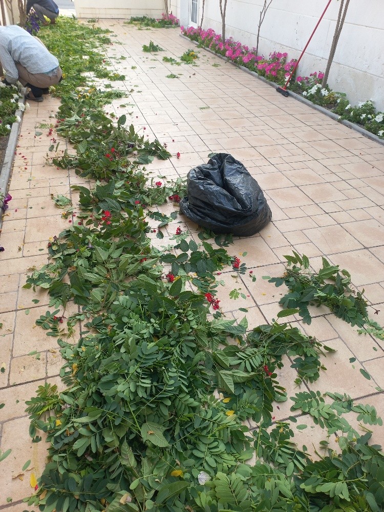 صيانة الحدائق - 2