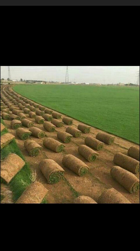 أبو مكه  - 1