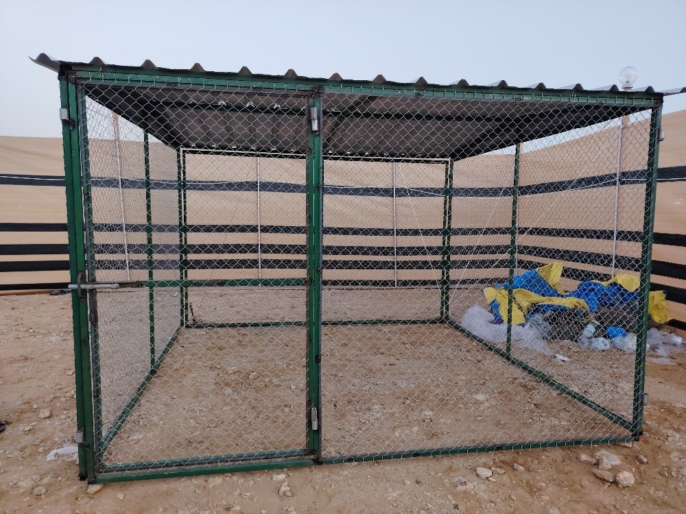 2/2غوباس - 3