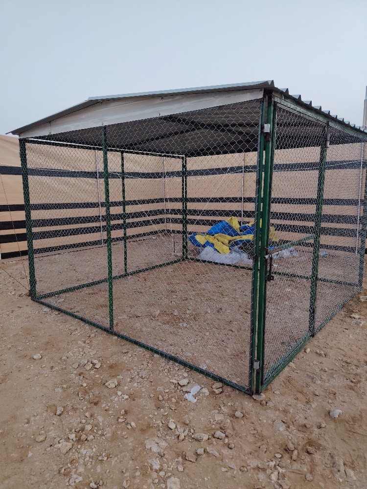 2/2غوباس - 2