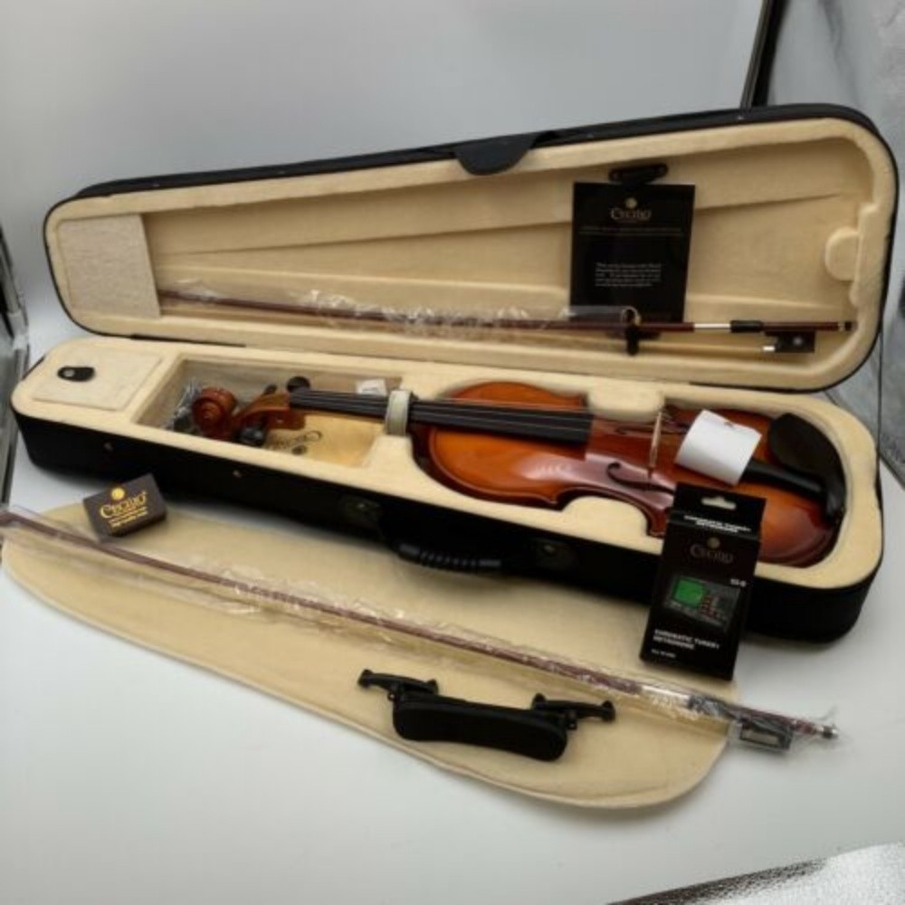 Left Handed Violin - 1
