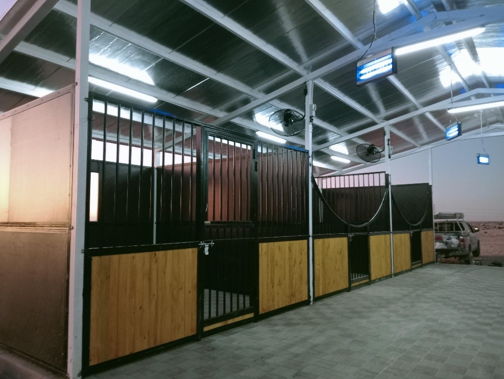 اسطبل خيل ولاوزم الخيول - 5