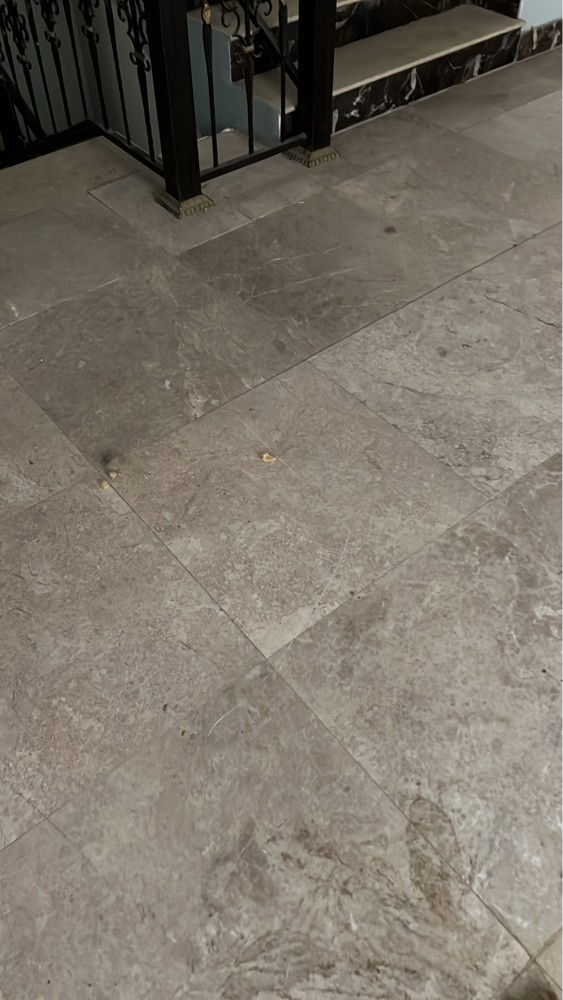 water proofing works  - 2