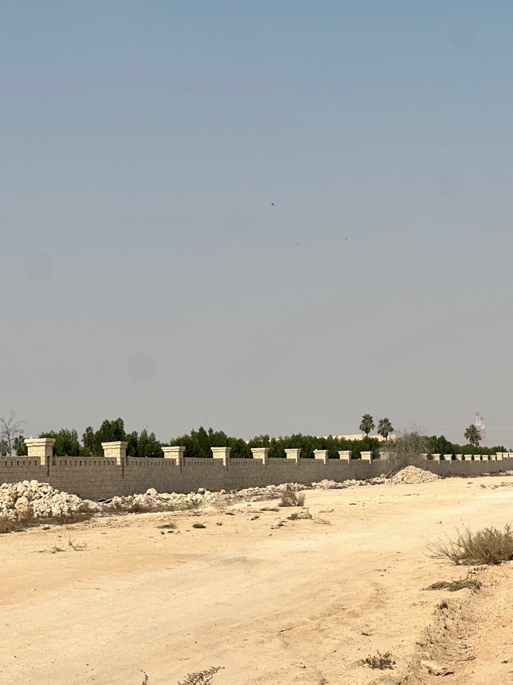 hajar mazraa - 4