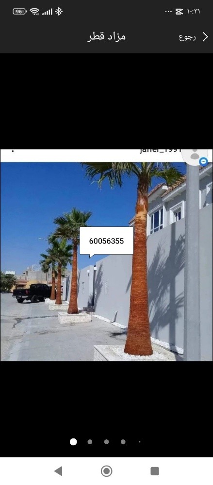 ديكورات خارجي وداخلي جميع الأعمال - 12
