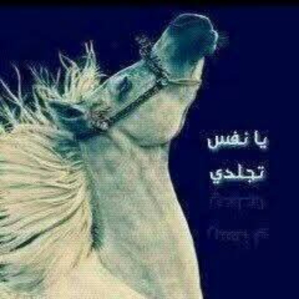 عمر - 1