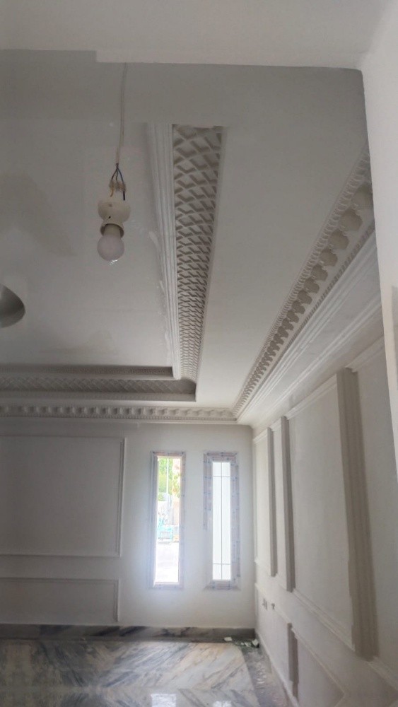 Gypsum Board & paint - 5