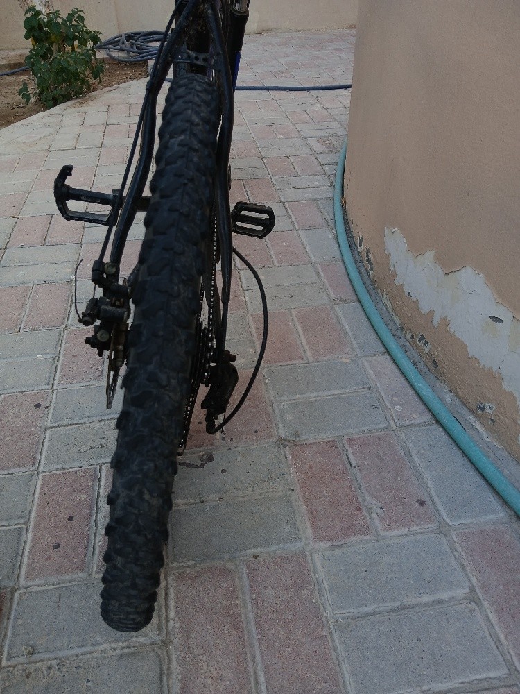 bicyecle - 2