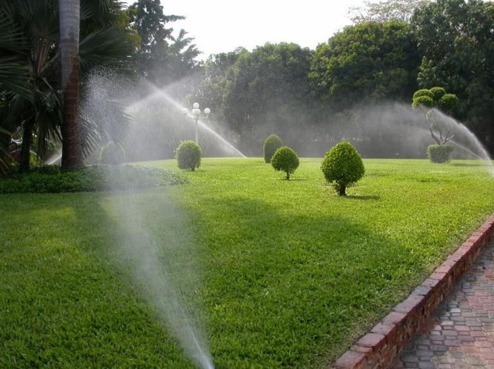 زراعه وديكور - 8