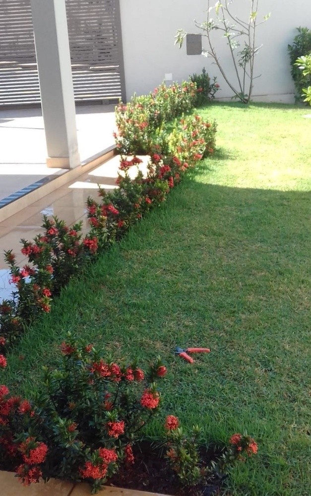 زراعه وديكور - 3