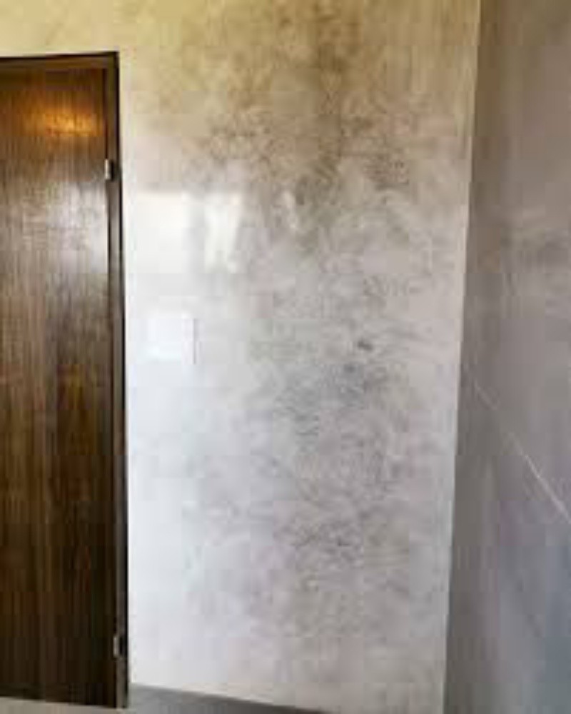 professional building painter - 9