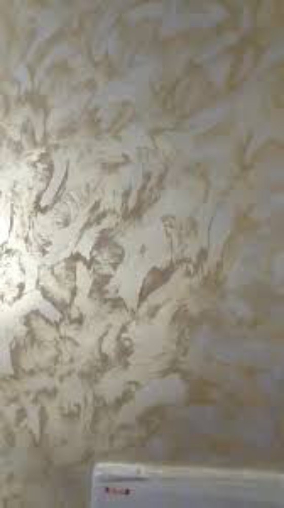 professional building painter - 5