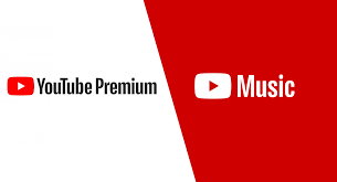 YouTube Premium Subscriptions - 1
