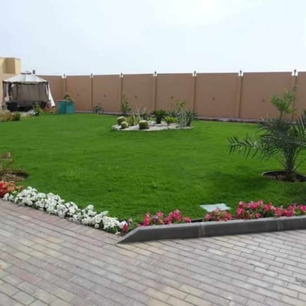 تنسيق وتصميم الحدائق وشبكات الرمي - 10
