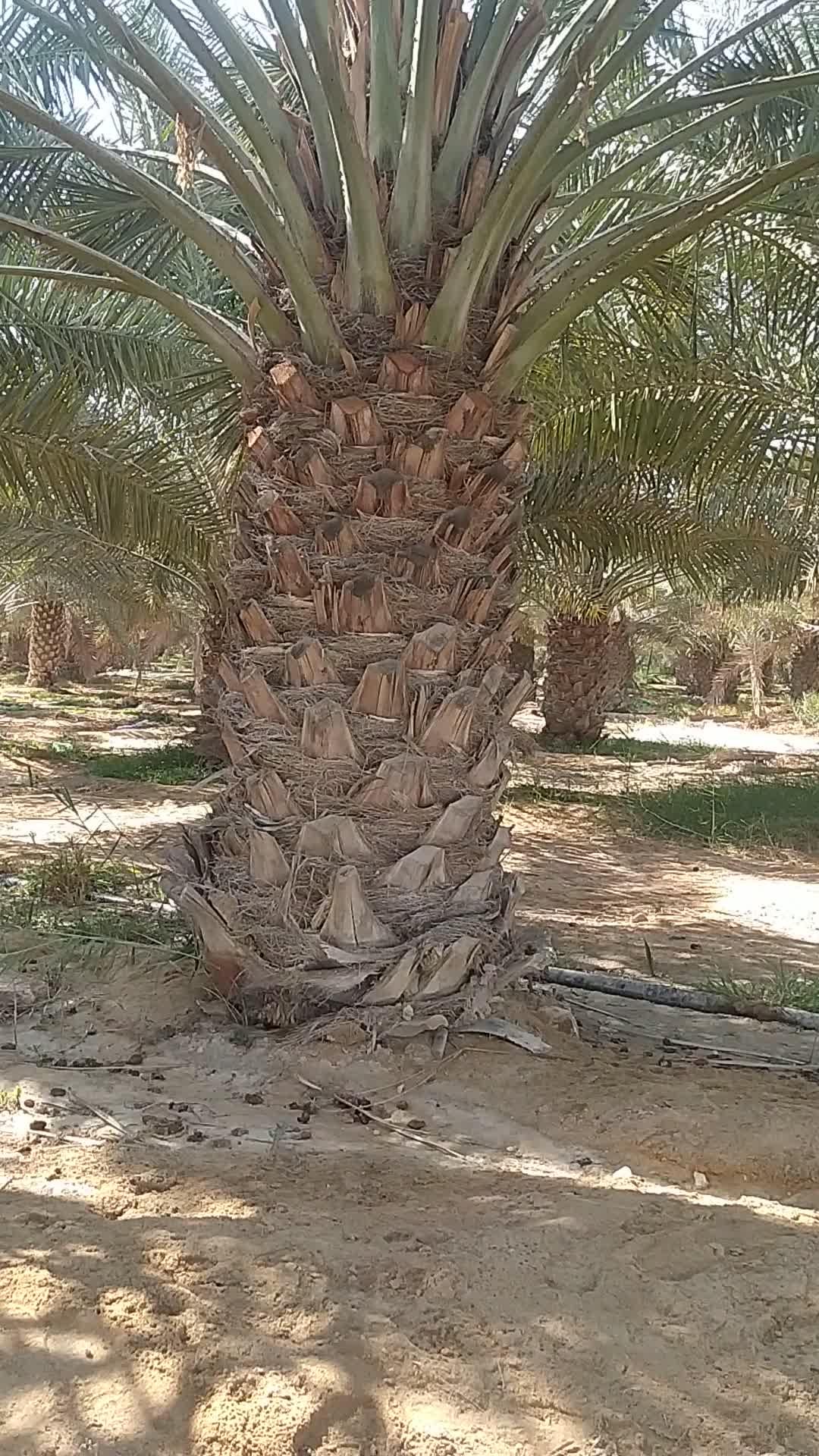 مهندس - 6