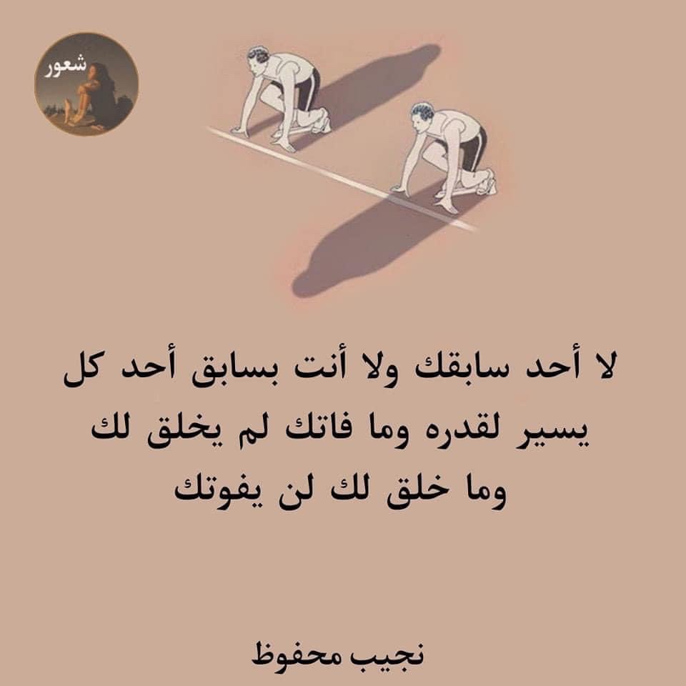 مس شيما - 1