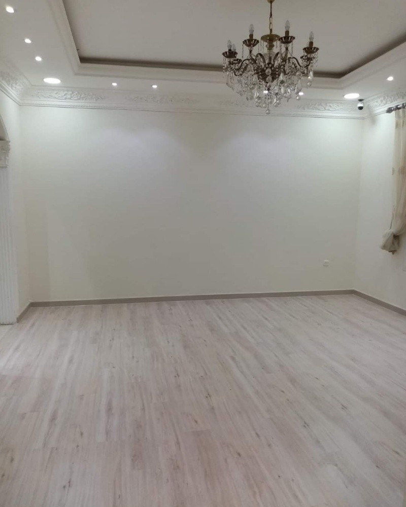 باركيا - 13