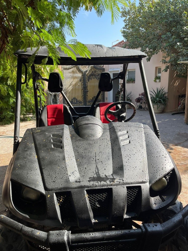 rhino yamaha - 1